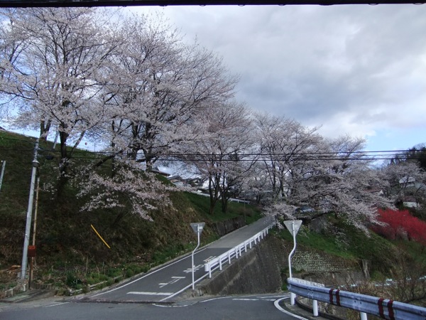 DSCF0162