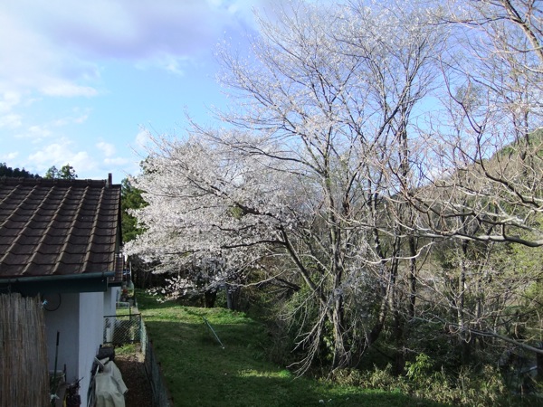 DSCF0164
